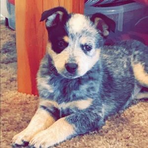 Meet your Posher, Kelsey